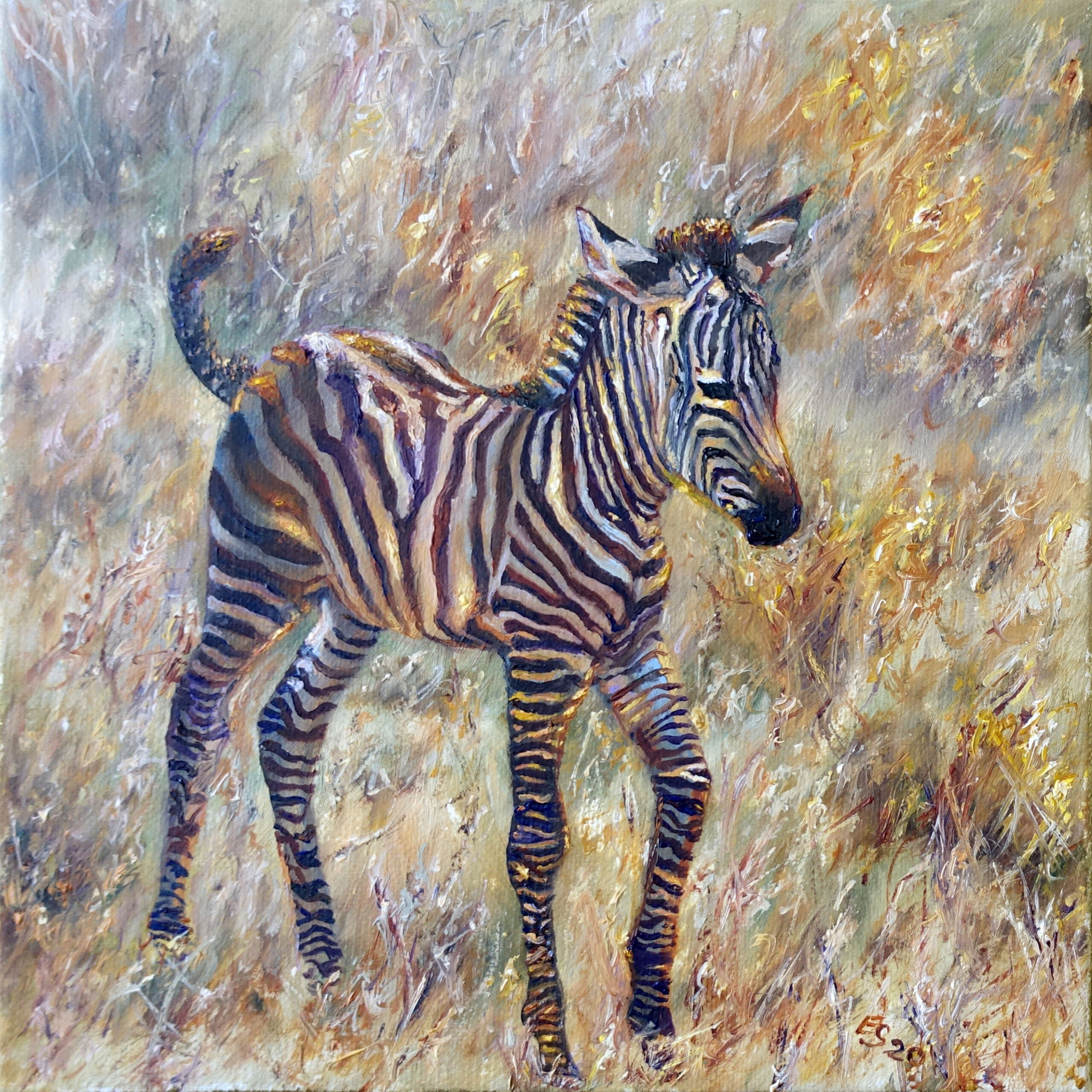 13 Zebrafohlen, 2020