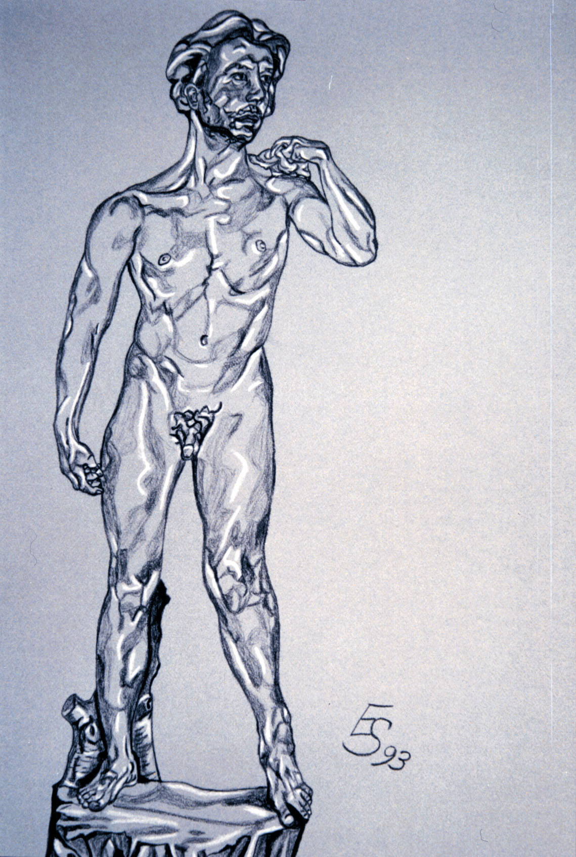 David-Pose, 1993