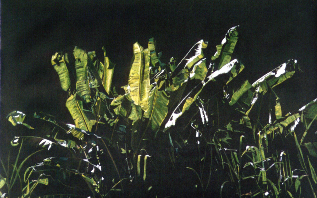 Exotische Vollmondnacht, 2000