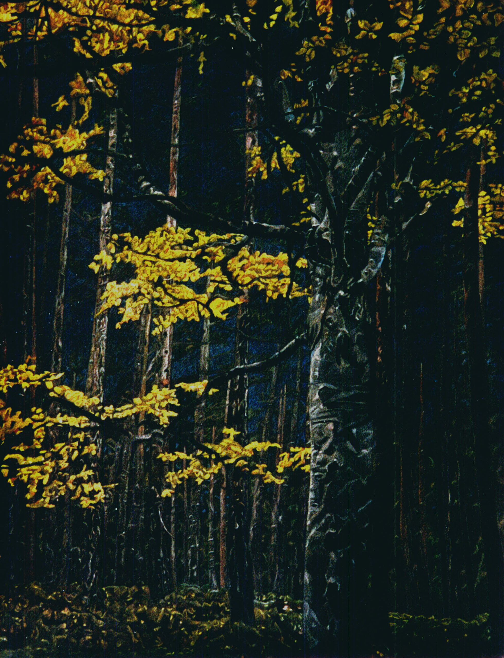 Waldviertler Blockheide, 2001